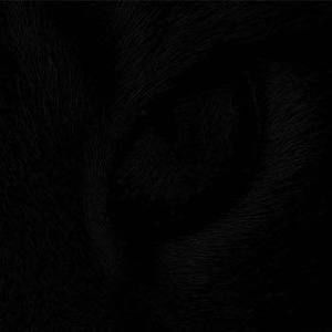 Meet your Posher, Summer